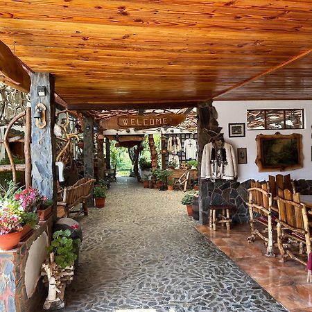 Casa Vlad Hotel Haţeg Buitenkant foto