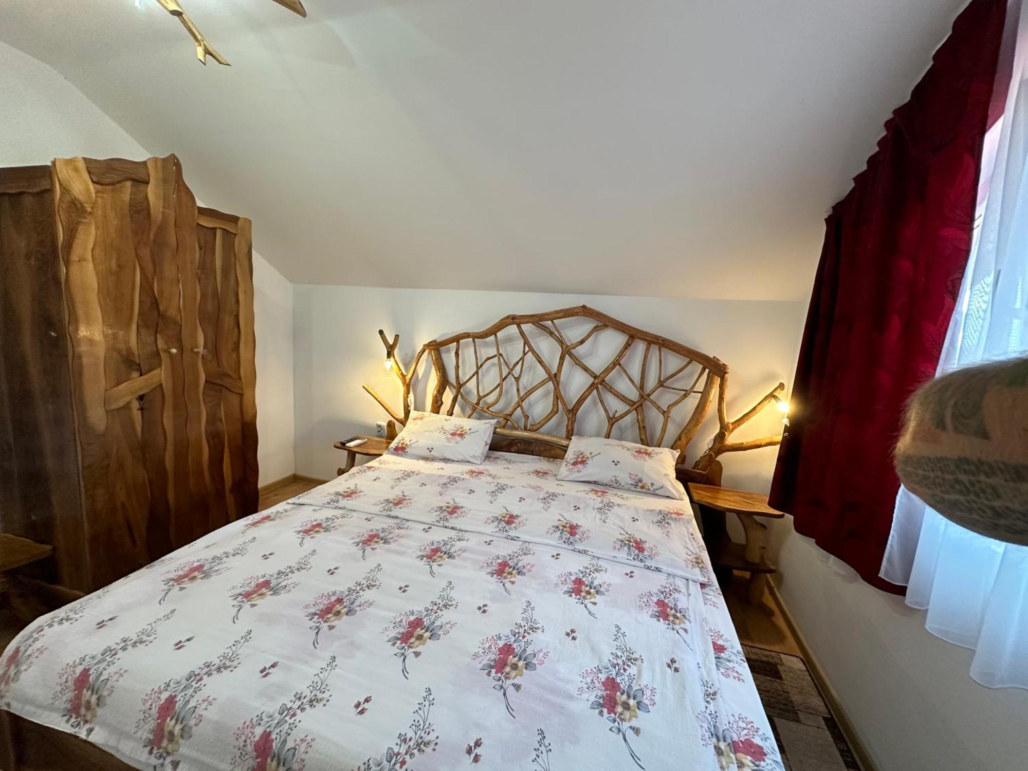 Casa Vlad Hotel Haţeg Buitenkant foto