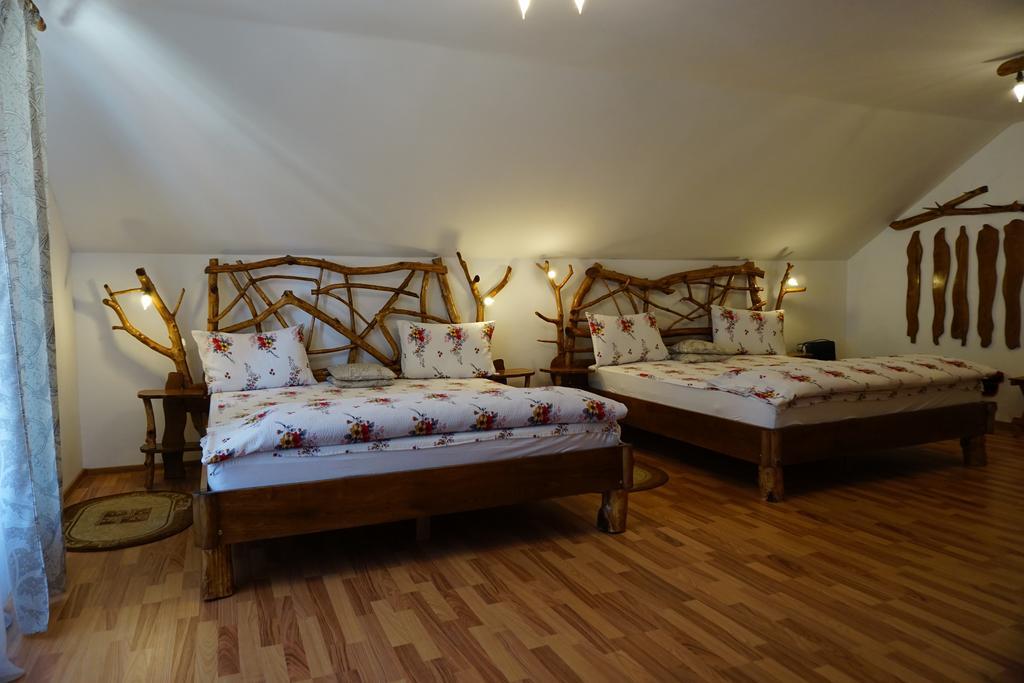 Casa Vlad Hotel Haţeg Buitenkant foto