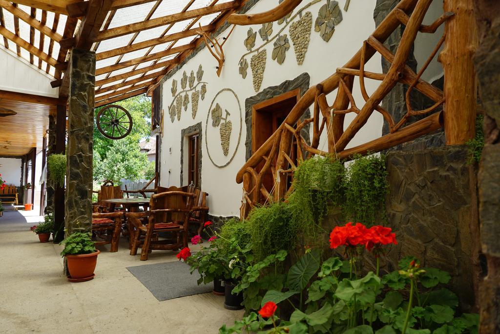Casa Vlad Hotel Haţeg Buitenkant foto